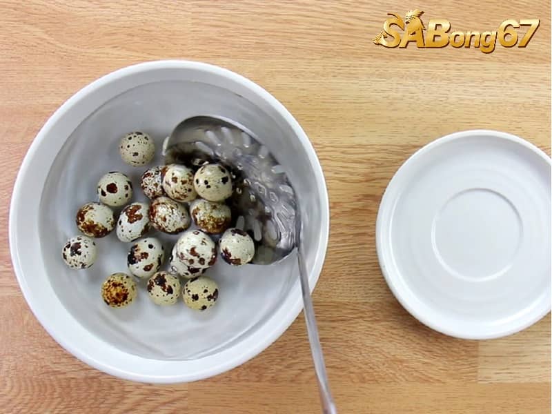 Công Thức Trộn Ngũ Cốc Cho Gà Và Những Điều Cần Lưu Ý Trứng cút lộn có thể trộn cùng ngũ cốc để tăng protein